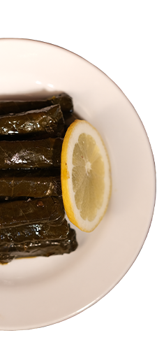 SF Sosyete Meze Evi